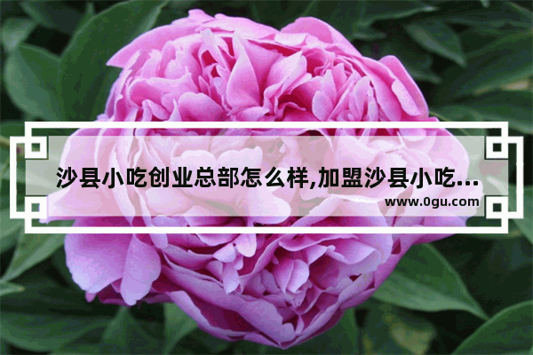 沙县小吃创业总部怎么样,加盟沙县小吃店要多少钱