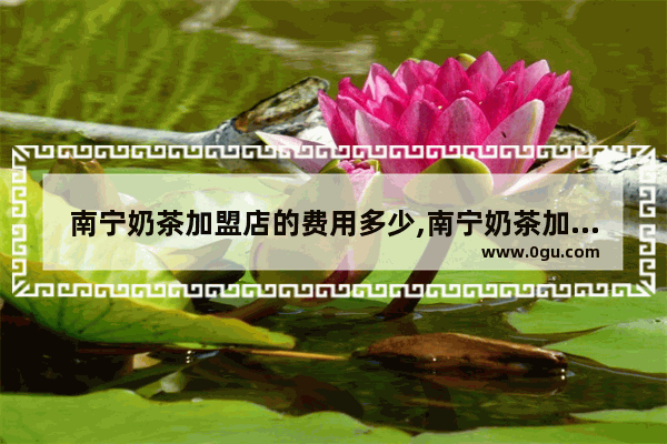 南宁奶茶加盟店的费用多少,南宁奶茶加盟店的费用多少
