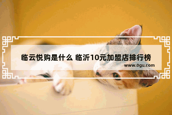 临云悦购是什么 临沂10元加盟店排行榜