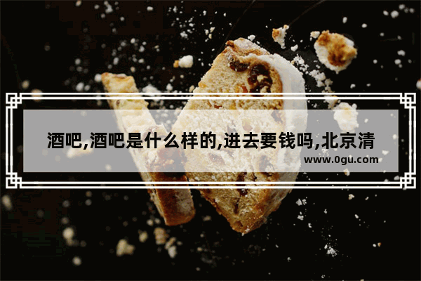 酒吧,酒吧是什么样的,进去要钱吗,北京清吧加盟品牌