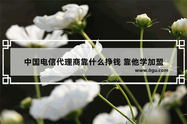 中国电信代理商靠什么挣钱 靠他学加盟