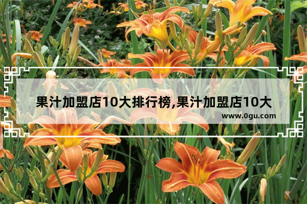 果汁加盟店10大排行榜,果汁加盟店10大排行榜