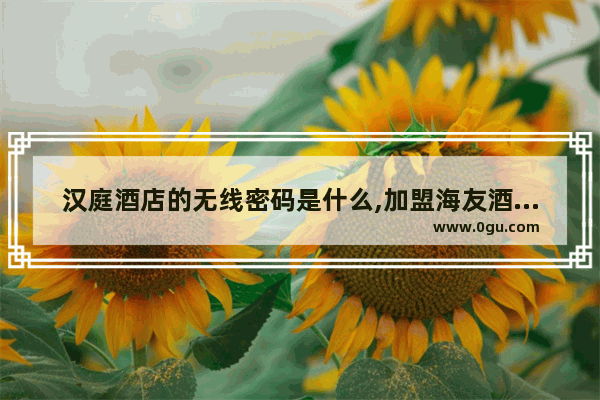 汉庭酒店的无线密码是什么,加盟海友酒店没房子可以吗