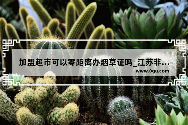 加盟超市可以零距离办烟草证吗_江苏非诚勿扰主持人