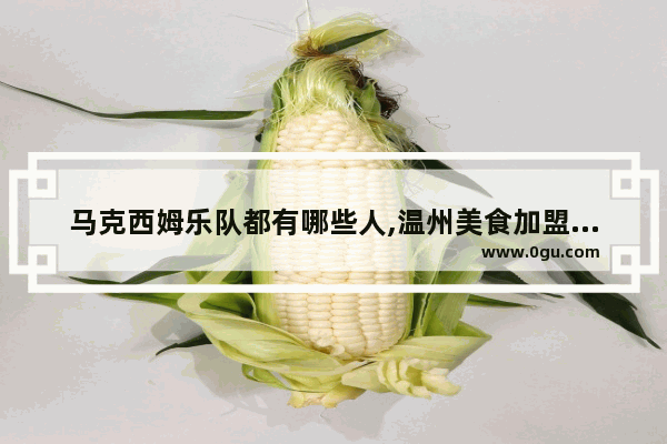 马克西姆乐队都有哪些人,温州美食加盟店有哪些