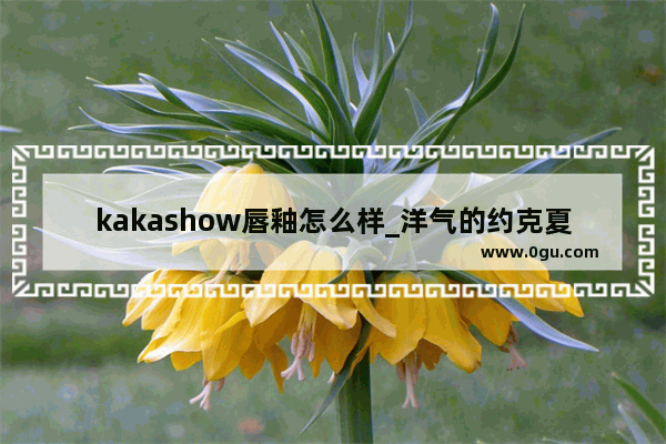 kakashow唇釉怎么样_洋气的约克夏名字