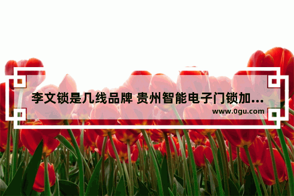 李文锁是几线品牌 贵州智能电子门锁加盟品牌