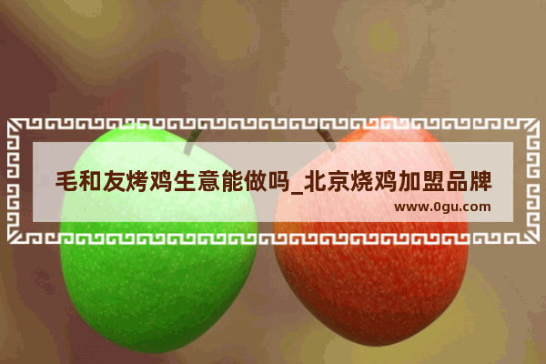 毛和友烤鸡生意能做吗_北京烧鸡加盟品牌