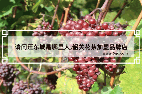 请问汪东城是哪里人,韶关花茶加盟品牌店