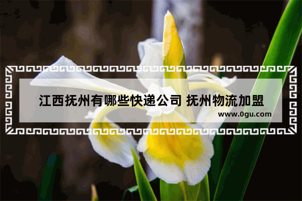 江西抚州有哪些快递公司 抚州物流加盟