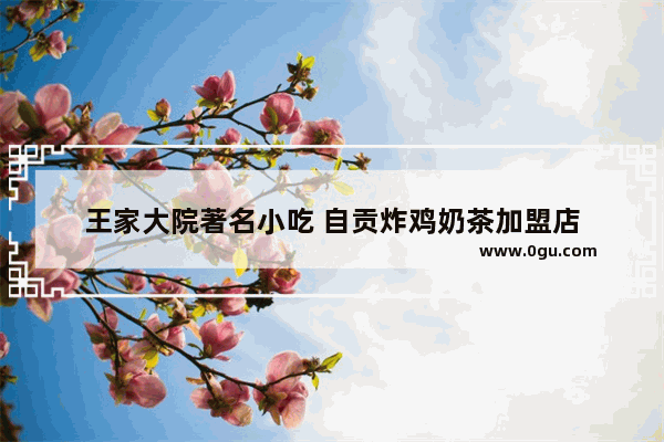 王家大院著名小吃 自贡炸鸡奶茶加盟店