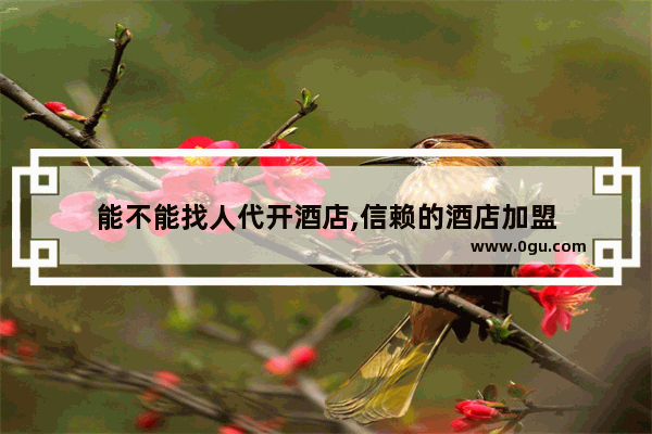 能不能找人代开酒店,信赖的酒店加盟