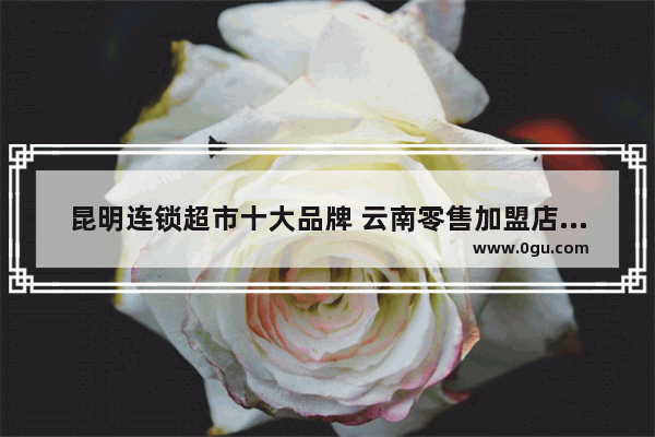 昆明连锁超市十大品牌 云南零售加盟店排行榜