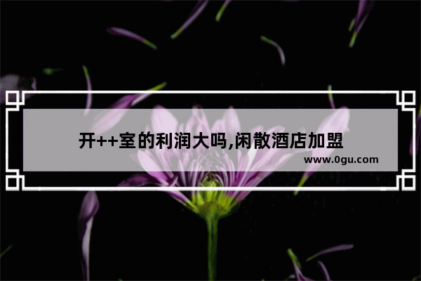 开++室的利润大吗,闲散酒店加盟