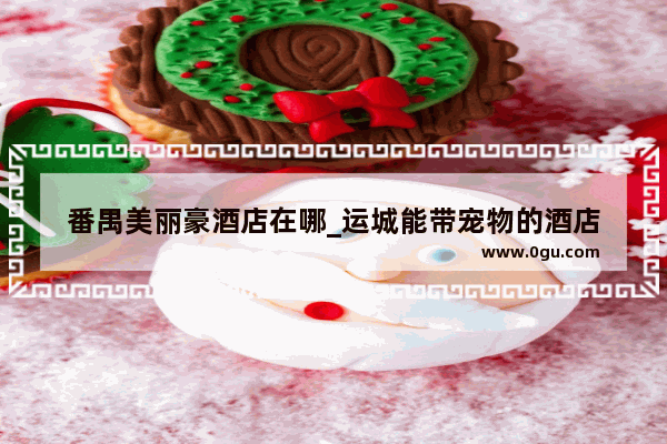 番禺美丽豪酒店在哪_运城能带宠物的酒店