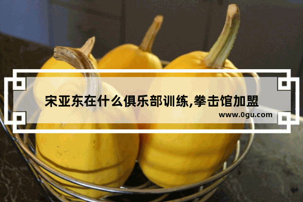 宋亚东在什么俱乐部训练,拳击馆加盟