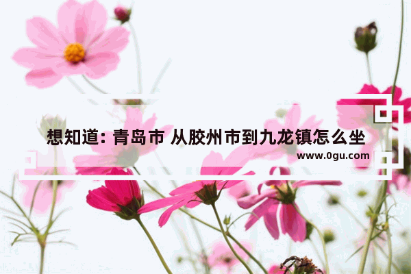 想知道: 青岛市 从胶州市到九龙镇怎么坐公交 胶州九龙加盟式连锁酒店