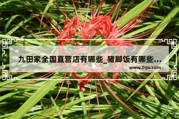 九田家全国直营店有哪些_猪脚饭有哪些品种