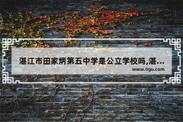 湛江市田家炳第五中学是公立学校吗,湛江小吃店加盟推荐大全