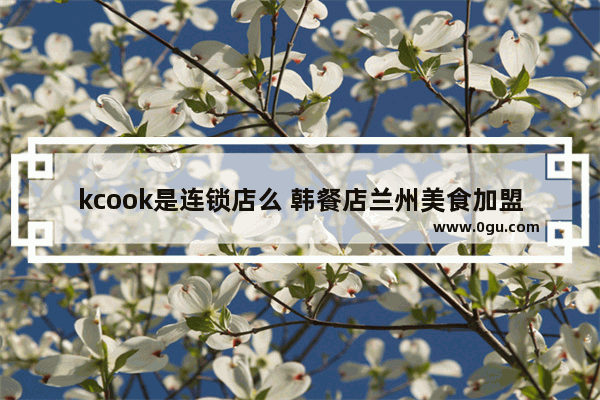 kcook是连锁店么 韩餐店兰州美食加盟