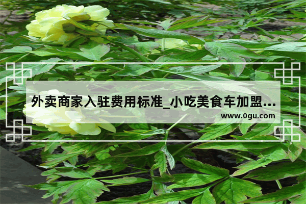 外卖商家入驻费用标准_小吃美食车加盟要多少钱