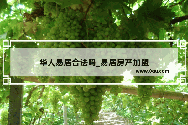 华人易居合法吗_易居房产加盟