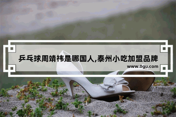 乒乓球周靖祎是哪国人,泰州小吃加盟品牌