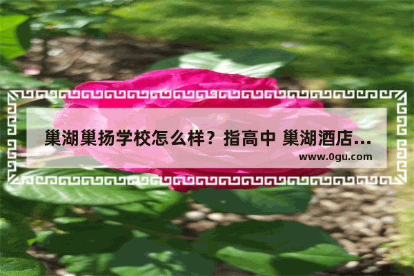 巢湖巢扬学校怎么样？指高中 巢湖酒店智能化加盟