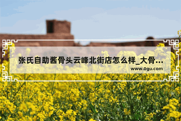 张氏自助酱骨头云峰北街店怎么样_大骨头汤饭店取名字