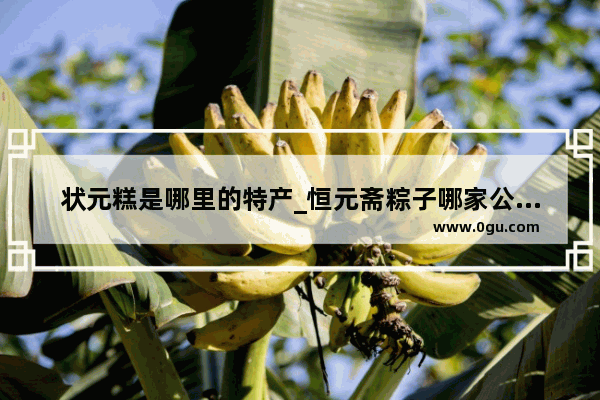 状元糕是哪里的特产_恒元斋粽子哪家公司生产的