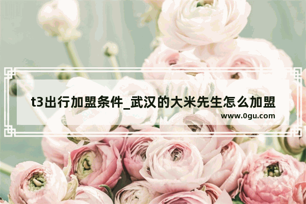 t3出行加盟条件_武汉的大米先生怎么加盟