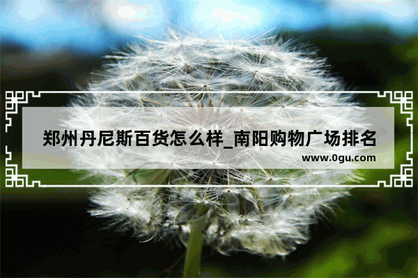 郑州丹尼斯百货怎么样_南阳购物广场排名
