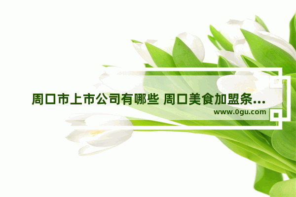 周口市上市公司有哪些 周口美食加盟条件哪家好