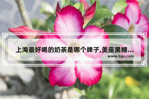 上海最好喝的奶茶是哪个牌子,美座黑糖手作奶茶加盟