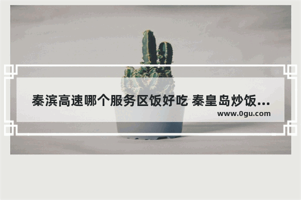 秦滨高速哪个服务区饭好吃 秦皇岛炒饭加盟品牌价格