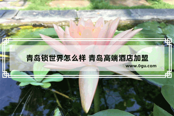 青岛锁世界怎么样 青岛高端酒店加盟