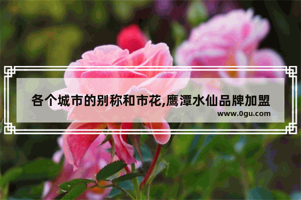 各个城市的别称和市花,鹰潭水仙品牌加盟