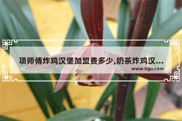 项师傅炸鸡汉堡加盟费多少,奶茶炸鸡汉堡加盟嘉兴桐乡