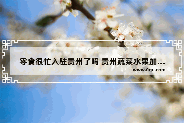 零食很忙入驻贵州了吗 贵州蔬菜水果加盟店排行榜