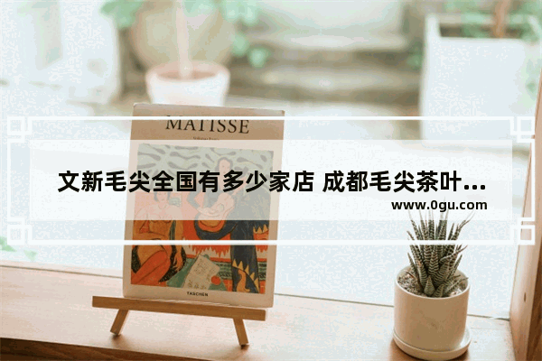 文新毛尖全国有多少家店 成都毛尖茶叶品牌加盟