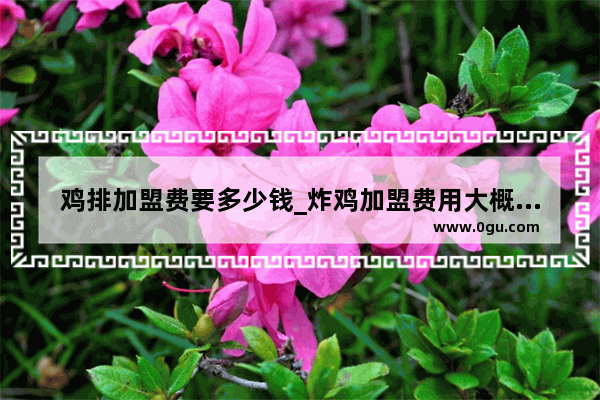 鸡排加盟费要多少钱_炸鸡加盟费用大概多少