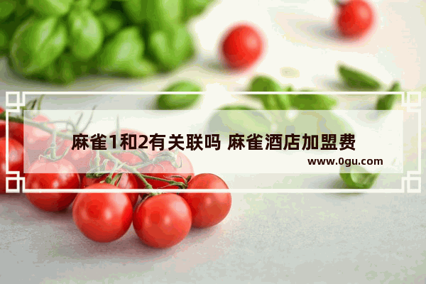 麻雀1和2有关联吗 麻雀酒店加盟费