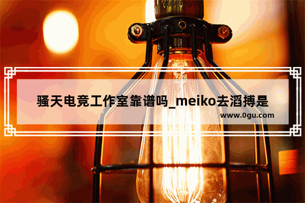 骚天电竞工作室靠谱吗_meiko去滔搏是租借吗