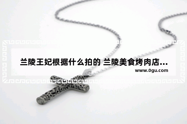 兰陵王妃根据什么拍的 兰陵美食烤肉店加盟费用
