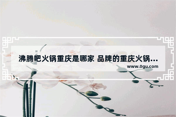 沸腾吧火锅重庆是哪家 品牌的重庆火锅加盟