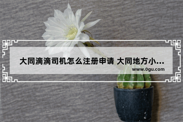 大同滴滴司机怎么注册申请 大同地方小吃加盟条件