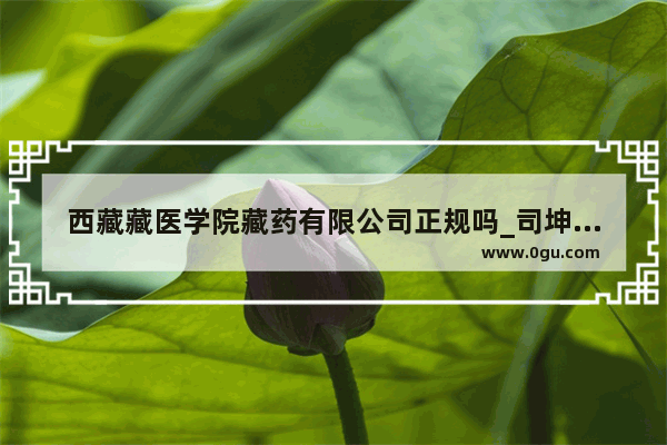 西藏藏医学院藏药有限公司正规吗_司坤个人简历