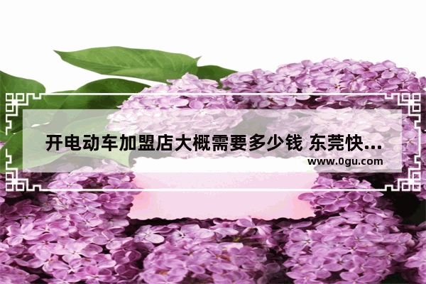 开电动车加盟店大概需要多少钱 东莞快捷酒店加盟费用
