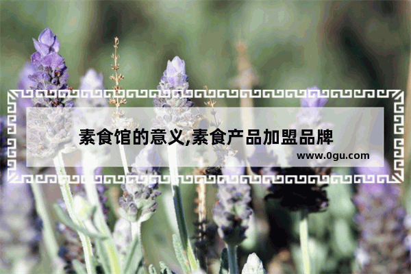 素食馆的意义,素食产品加盟品牌
