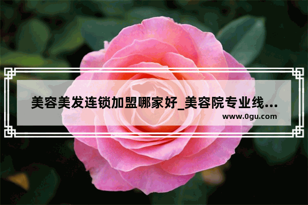 美容美发连锁加盟哪家好_美容院专业线品牌哪家好